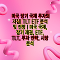 미국 장기 국채 투자의 지침| TLT ETF 분석 및 전망 | 미국 국채, 장기 채권, ETF, TLT, 투자 전략, 시장 분석