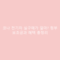 코나 전기차 실구매가 얼마? 정부 보조금과 혜택 총정리