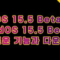iOS 15.5 Beta 1, iPadOS 15.5 Beta 1 새로운 기능과 다운로드 및 설치 방법