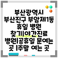 부산광역시 부산진구 부암제1동 휴일 병원 찾기|야간진료 병원|공휴일 문여는 곳 |주말 여는 곳
