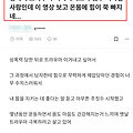 유튜버 흑자헬스 주짓수 폄하 막말 논란"추짓수하면 뭐냐? '창녀권'"다리 벌리며 누워버리는 게 주짓수"