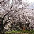 이와테현 모리오카, 히라이즈미, 하치만타이 여행: 숨겨진 일본의 보석을 찾아서