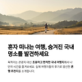 혼자 여행하기 좋은 국내 도시, 실제 후기 모음
