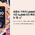 # 유튜브 구독자 1,000명 & 시청시간 4,000시간 빠르게 달성하는 법 🚀