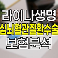 라이나생명 심뇌혈관질환수술 보험 핵심 분석