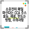 소유진이 매일 마신다는 CCA 주스 효능, 재료, 만드는 방법, 주의사항