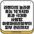 라벤더의 놀라운 효능 10가지와 효과 극대화 사용법: 아로마테라피부터 피부 관리까지!