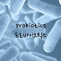 장내 미생물 생태계의 수호자, 프로바이오틱스의 놀라운 효능