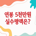 연봉 5000만원, 실수령액은 얼마일까?