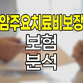 흥국생명 암주요치료비보장 보험, 특징과 장단점