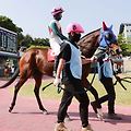 2024년 첫 '1등급 1200m 단거리' 최강자리 차지할 경주마는