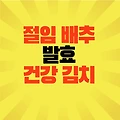 절임 배추 양념 건강한 k-food 김치 발효 효능 식품