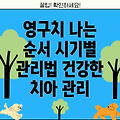 영구치 나는 순서 & 시기별 관리 5단계: 건강한 치아 관리법