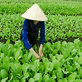 재개발과 재건축, 그 선택의 기로에서