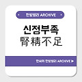 신정부족(腎精不足)