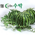 맹동수박: 한국의 자랑스러운 여름 과일