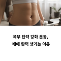 복부 탄력 강화 운동, 배에 탄력 생기는 이유