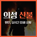 2025 의성 산불 참사… 산수유 축제도 멈췄다 [실시간 상황+예방 팁]
