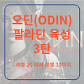 오딘 (ODIN) 팔라딘 육성기 3탄 < 렙 20 ~ 렙 30 까지>