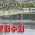 강한 비바람이 지난 다음 대어들 출몰