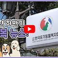 [영상] 한국유기동물복지협회 하반기 뉴스