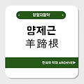 양제근(羊蹄根)