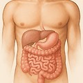 환자 이야기: 소장암(Small Intestine Cancer): 원인, 증상, 진단 및 치료 방법, 전문가 의견, 환자에게 좋은 음식
