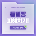 왜 통밀빵이 우리 몸에 좋은지에 대해 알아보자! <다이어터 필독>