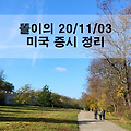 미국 증시 정리_20.11.03_대선 당일 확실한 승자 기대 속 큰 상승 마감