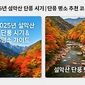 2025년 설악산 단풍 시기｜단풍 명소 BEST 5