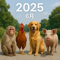 2025년 6월 원숭이띠, 닭띠, 개띠, 돼지띠 운세