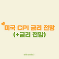 미국 CPI 둔화와 금리 전망: 연준의 선택은?