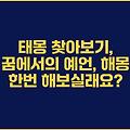 태몽 찾아보기, 꿈에서의 예언, 해몽 한번 해보실래요?