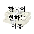 환율이 변하는 이유