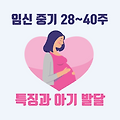 임신 초기(28~41주) 특징과 태아 발달 아기 발달 모습