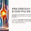 관절염 증상과 치료법: 초기 신호부터 효과적인 관리 방법까지