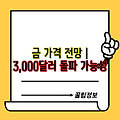 금 가격 전망 | 3,000달러 돌파 가능성