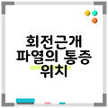 회전근개 파열의 통증 위치