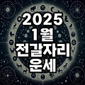 2025년 1월 전갈자리 운세(사랑 연애 학업 직업 숫자)