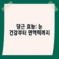 당근 효능: 눈 건강부터 면역력까지, 놀라운 효과 총정리
