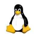 [Linux] CentOS, Ubuntu 등 OS 버전을 확인하는 명령어