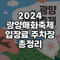 2024 광양 매화축제 입장료 주차장 근처가볼만한곳 정리