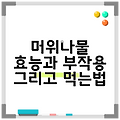 머위나물 효능과 부작용 그리고 먹는법