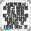 서울특별시 종로구 혜화동 휴일 병원 찾기|야간진료 병원|공휴일 문여는 곳 |주말 여는 곳