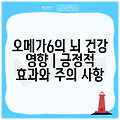 오메가6의 뇌 건강 영향 | 긍정적 효과와 주의 사항