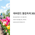 🌷에버랜드 튤립축제 2025, 놓치면 후회할 10가지!🌷
