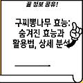 구찌뽕나무 효능: 숨겨진 효능과 활용법, 상세 분석