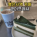 [서울/삼성] 삼성역·봉은사역 애견 동반 가능한 로스터리 대형카페｜내돈내산 솔직후기