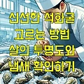 신선한 석화굴 고르는 방법 살의 투명도와 냄새 확인하기