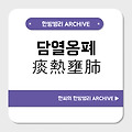 담열옹폐(痰熱壅肺)